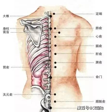 艾灸的作用原理（专业版）