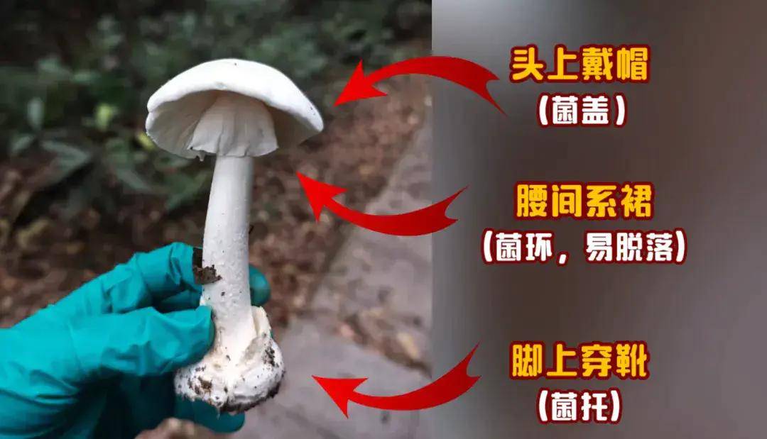 发病2例，死亡2例，广东省公布3月突发公共卫生事件信息