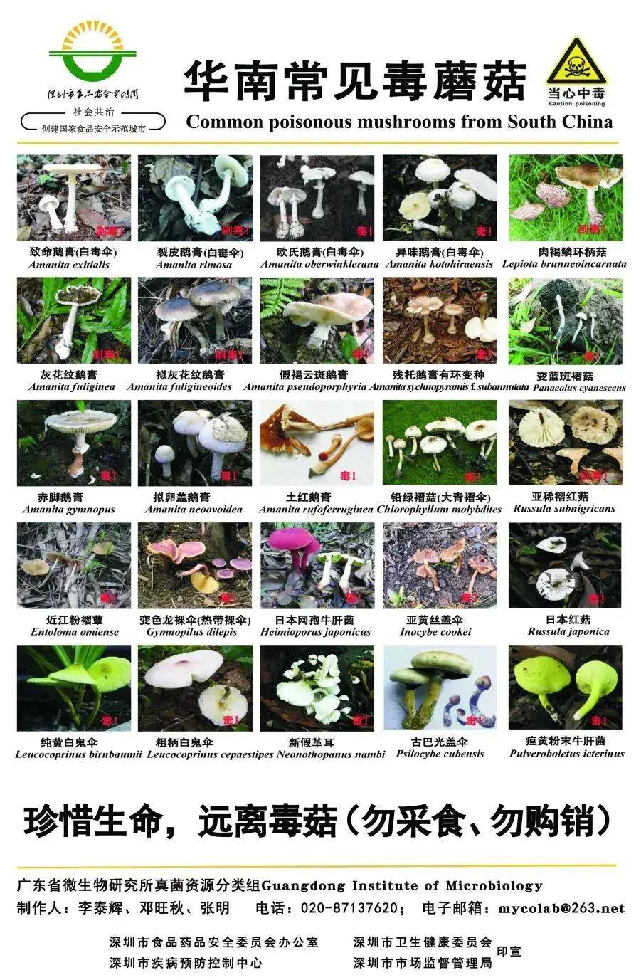 发病2例，死亡2例，广东省公布3月突发公共卫生事件信息