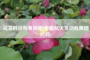 宏源证券股吧(宏源证券股吧最新消息)