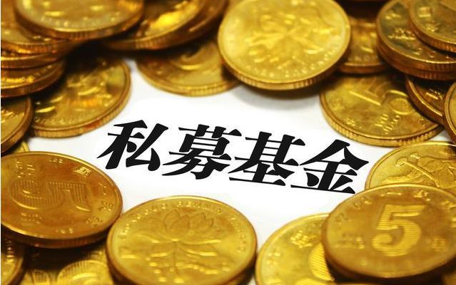 私募证券类基金(私募证券类基金投资总监风险)